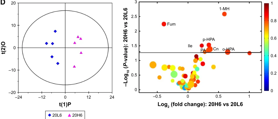 Figure 5 OPls-Da scores and corresponding volcano plots from the urine.Notes: Orthogonal projection to latent structures with discriminant analysis (left panels) and corresponding volcano plots (right panels) derived from 1h nuclear magnetic resonance data