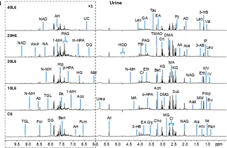 Figure 1 representative 1h nuclear magnetic resonance spectra of rat plasma (A) and urine (B) obtained from groups c6, 10l6, 20l6, 20h6 and 40l6.Notes: c, l, and h represent the control and low- and high-dose groups, respectively, 6 represents 6 hours post