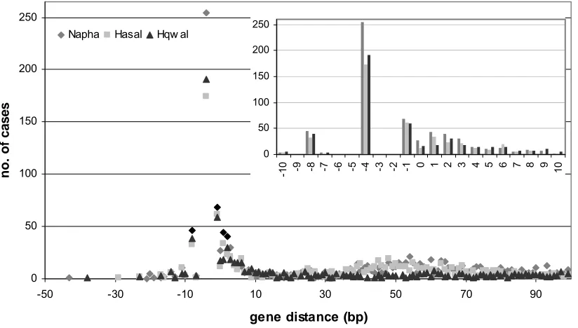 Figure 2.8: Gene distance statistics for serial genes in three haloarchaeal genomes. Aare due to overlapping stop and start codons of genes in different frames, e.g
