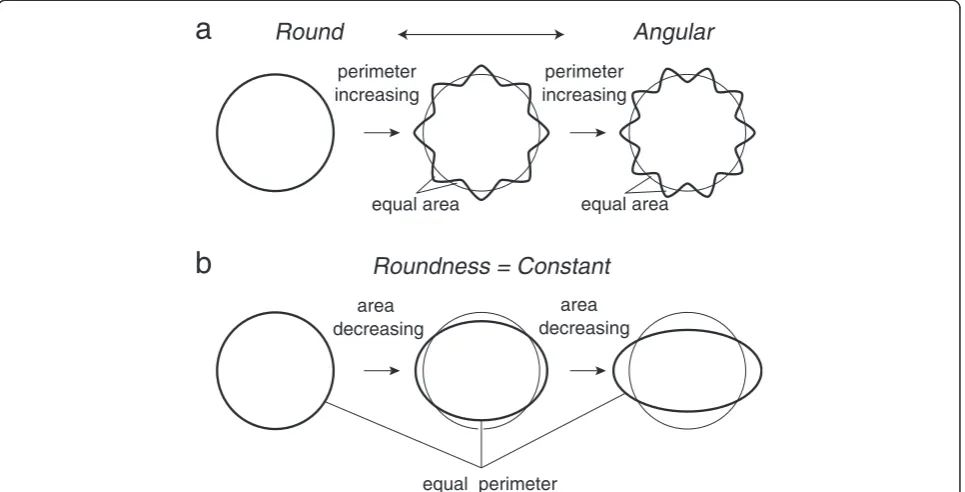 Fig. 1 Basic concept of transformation from a perfect circle. Narrow solid lines denote perfect circles before transformation