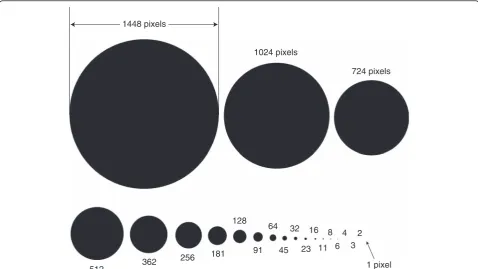 Fig. 2 Test circle images with diameters of 1 to 1448 pixels