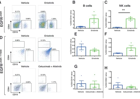 Figure 10 : Increased nK cells in eGFrl858rof EGFRCD45to the vehicle-treated cohort (Statistical analysis: ** tumors treated with erlotinib