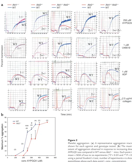 Figure 2Platelet aggregation. (a) A representative aggregation tracing is