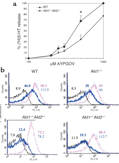 Figure 4Fibrinogen binding in WT versus Akt-deficient platelets. Washed human