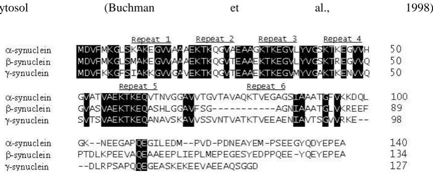 Figure 1:  Amino acid sequence alignment of the human synuclein proteins.  The imperfect 