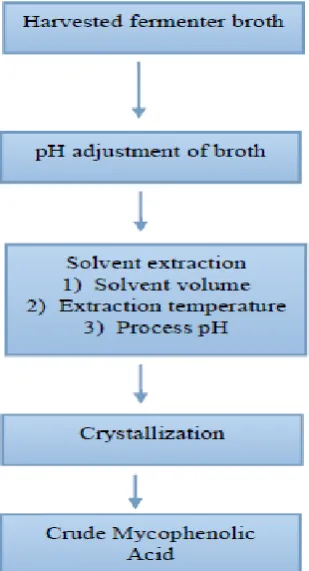 Fig -1:  Steps for isolation of MPA 