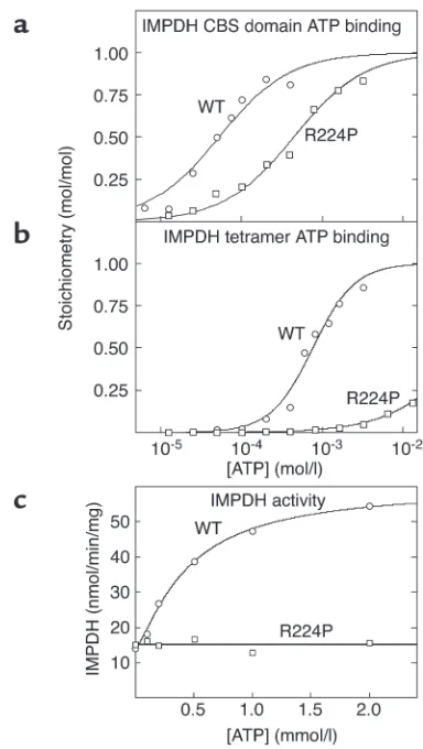 Figure 5(a and b) Binding of ATP by GST fusions of the isolated CBS domain