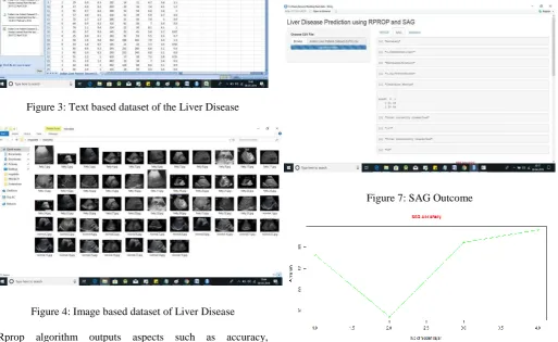 Figure 3: Text based dataset of the Liver Disease 