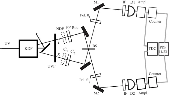 Figure 1. One should consider the possibility that the results obtained using a certain polarization direction could depend onfor Cexperiment.the linear polarizersthe other polarizer