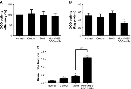 Figure 5 Therapeutic mechanism of Morin/HES-DOCA-NPs on decreasing serum uric acid level in vivo