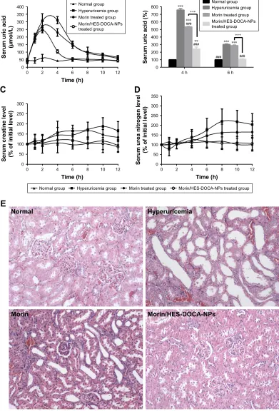 Figure 4 Therapeutic efficacy of Morin/HES-DOCA-NPs on oxonate potassium-induced hyperuricemia rats