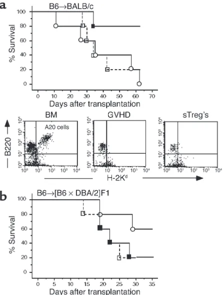 Figure 5GVL/GVT effects after control of GVHD by sTreg’s. (