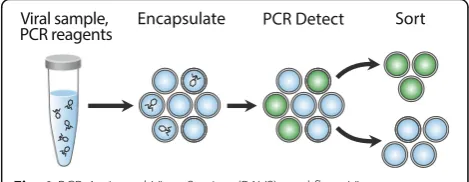 Fig. 1 PCR-Activated Virus Sorting (PAVS) workflow. Virussuspensions are encapsulated with PCR reagent and probe indouble emulsion droplets, then thermal cycled and stained withSYBR Green