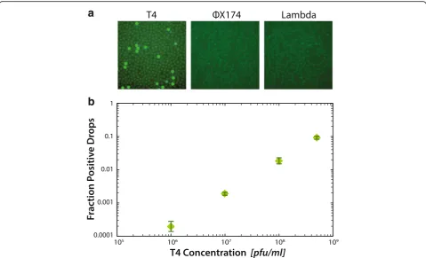 Fig. 2 a T4, ФX174, and lambda virions are partitioned into droplets with TaqMan primers and probe specific for T4