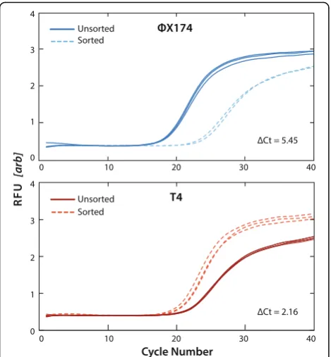 Fig. 4 qPCR detection of bacteriophagesafter FACS sorting. The shifts in the curves reflect the 2-fold changeof the DNA quantity according to the specific primers being tested