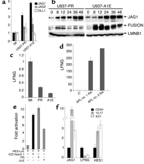 Figure 3(a) mRNA levels of Notch ligands in Mt, U937-