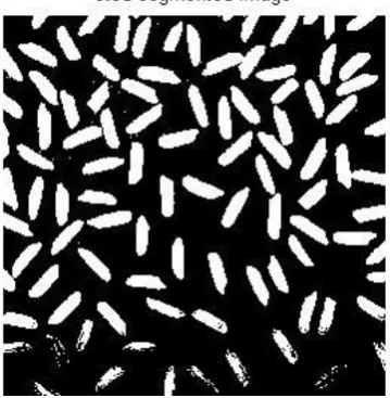 Fig 4 :( a) otsu’s segmented image                                  