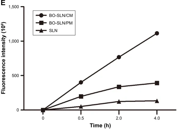 Figure 7 In vivo images of the (A) control group, (B) BO-slN/cM group, (C) BO-slN/PM group, and (D) slN group, and (E) the fluorescence intensity curve of the in vivo imaging system.Abbreviations: BO-SLN/CM, borneol-modified chemically solid lipid nanoparticle; BO-SLN/PM, borneol-modified physically solid lipid nanoparticle; SLN, solid lipid nanoparticle.