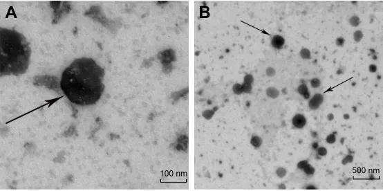 Table 3 Intensity diameter distribution and zeta potential of slN, BO-slN/PM, and BO-slN/cM