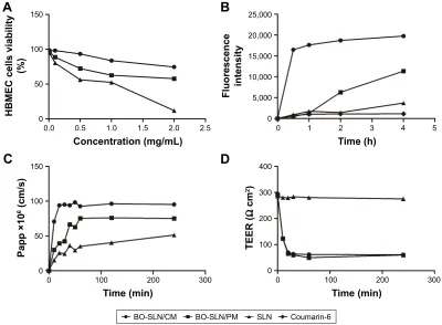 Figure 6 TeM image of (A) normal, (B) treated with BO-slN/cM, and (C) treated with fresh DMeM in vitro BBB model.Abbreviations: BBB, blood–brain model; BO-SLN/CM, borneol-modified chemically solid lipid nanoparticle; DMEM, Dulbecco’s Modified Eagle’s Medium; TEM, transmission electron microscopy.