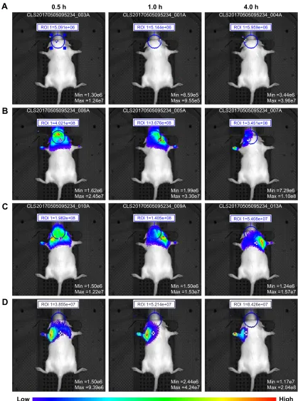 Figure 7 (Continued)