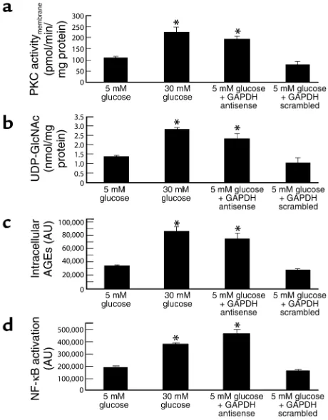 Figure 2 Effect of GAPDH antisense ODNs on pathways of hyperglycemic dam-age in BAECs