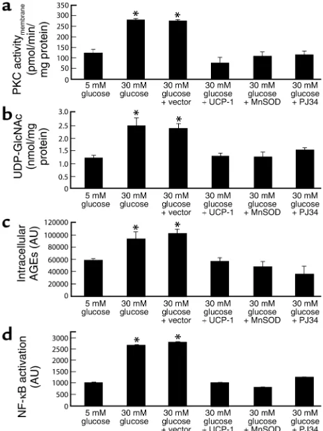 Figure 7 Effect of PARP inhibition on hyperglycemia-induced pathways of vas-