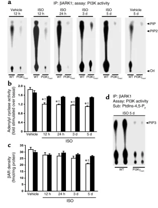Figure 3β
