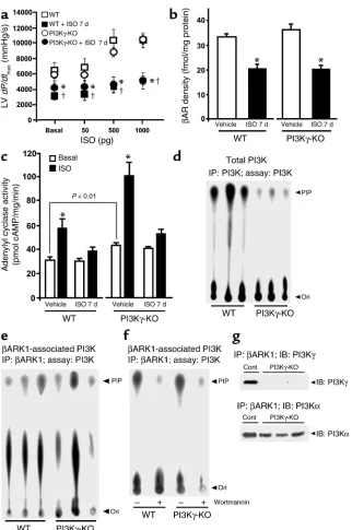 Figure 4Preservation of 