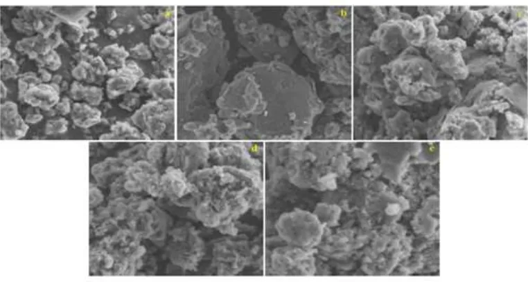 Figure 1: SEM micrographs of PANI/NiO composites with different NiO content: (a) 10, (b) 20, (c) 30, (d) 40 and (e) 50 wt%