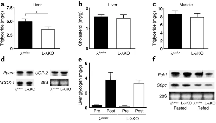 Figure 3Hepatic lipid and glycogen content and the expression of genes involved in β-oxidation and gluconeogenesis in mice with liver-specific PKCλ