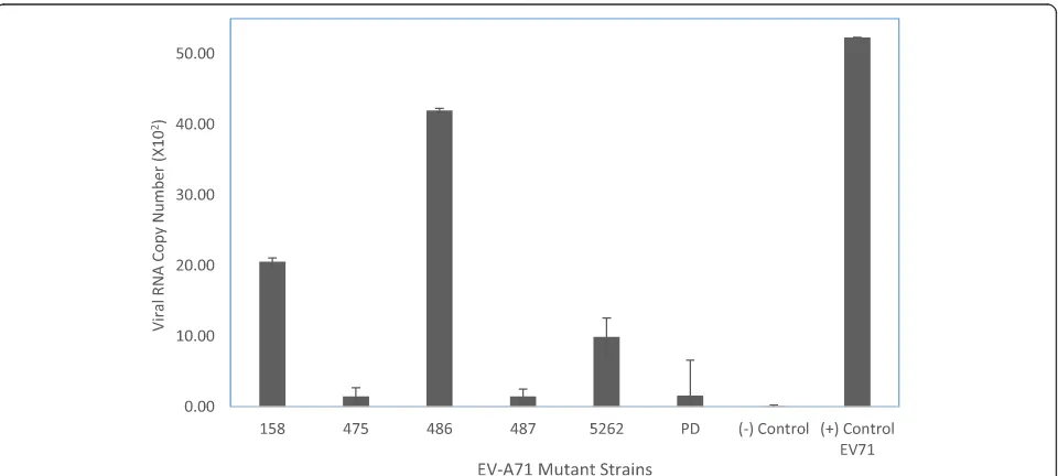 Fig. 3 Quantification of Viral RNA Copy Number. Transfection of infectious RNA into RD cells was performed with the use of Lipofectamine 2000reagent and EV-A71 mutants at a MOI of 0.1