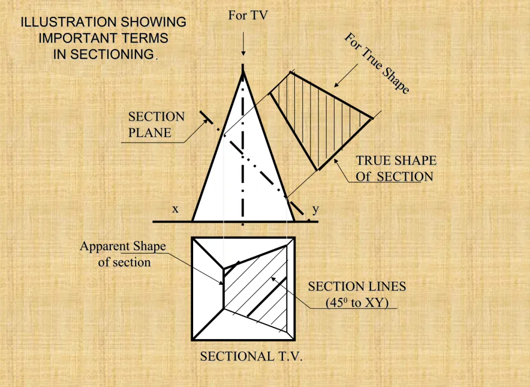 ILLUSTRATION SHOWING ILLUSTRATION SHOWING  IMPORTANT TERMS IMPORTANT TERMS  IN SECTIONING IN SECTIONING.