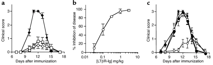 Figure 1Disease is prevented by LTβR-Ig or anti-LTβ treatment in an acute rat EAE model