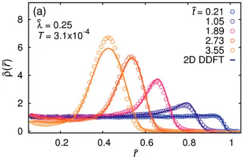 Fig. 7. Snapshots from BD simulations for λˆ = 0.25. Small clusters predominantly form at the outer rim andcollectively move towards the center