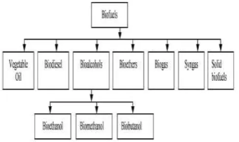 Figure 3.1 Block diagram of various outcomes of biofuels.(source of internet)  IV CHARACTERIZATION OF JATROPHA OIL 