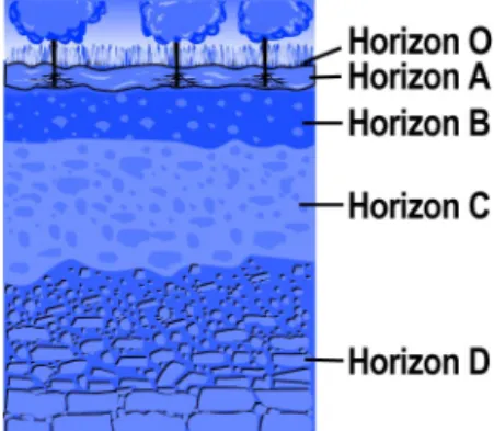 Figure 29.13:  A soil profile.