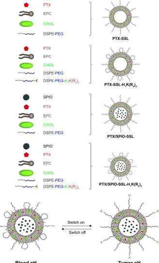 Figure 1 The schematic diagram for preparation of PTX-SSL, PTX-SSL-H7K(R2)2, PTX/SPIO-SSL, and PTX/SPIO-SSL-H7K(R2)2.Abbreviations: CHOL, cholesterol; EPC, egg phosphatidylcholine; PEG, polyethylene glycol; PTX, paclitaxel; PTX/SPIO-SSL, PTX/SPIO-loaded liposome; PTX/SPIO-SSL-H7K(R2)2, H7K(R2)2-modified liposome containing PTX and SPIO; PTX-SSL, sterically stabilized liposome containing PTX; SSL, sterically stabilized liposome; SPIO, superparamagnetic iron oxide.