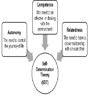 Fig. 2 Self Determination Theory 