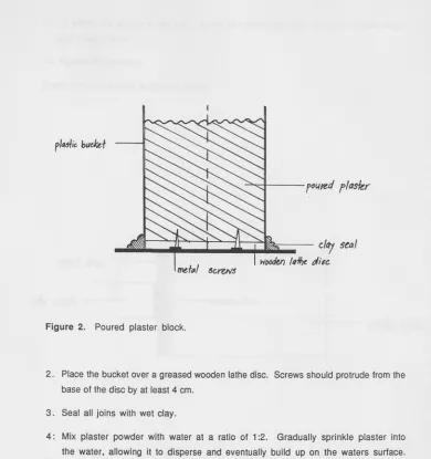 Figure 2. Poured plaster block. 