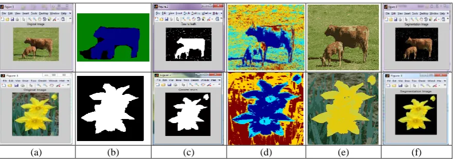 Fig. 3. Multiple Object Image, Column (a) Original Image, Column (b)  Ground Truth in DB, Column (c) HCACOPSO Ground Truth and Column (d) Otsu (e) CPSO – FCM (f)  HCACOPSO Segmented Image 
