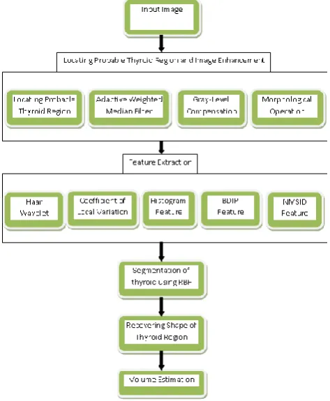 Fig -2: Thyroid nodule image    