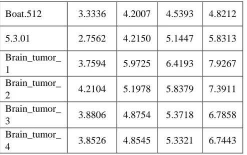 Fig. 8. Compression performance analysis interms of bit rate  