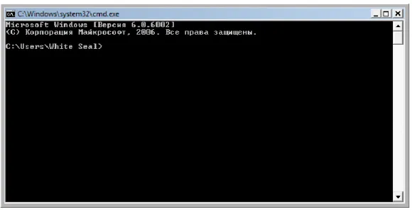 Figure 1 Command window 