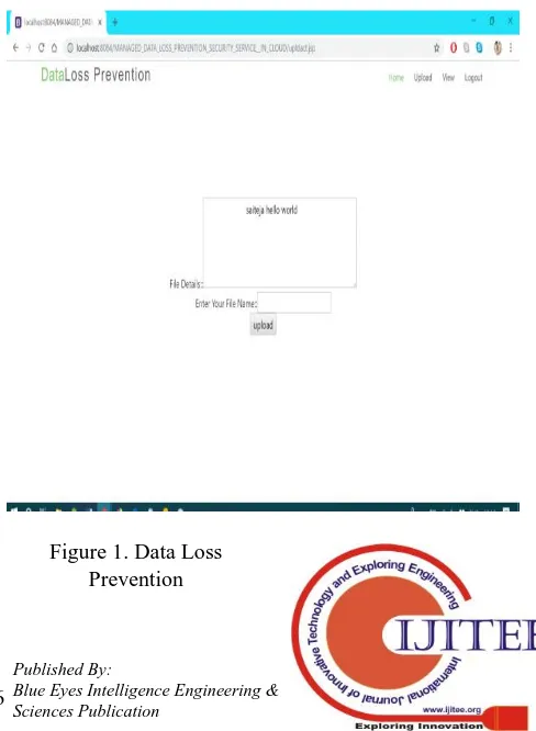 Figure 1. Data Loss Prevention  