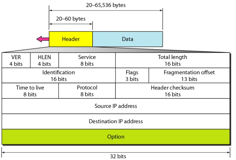 Figure 20.5   IPv4 datagram format