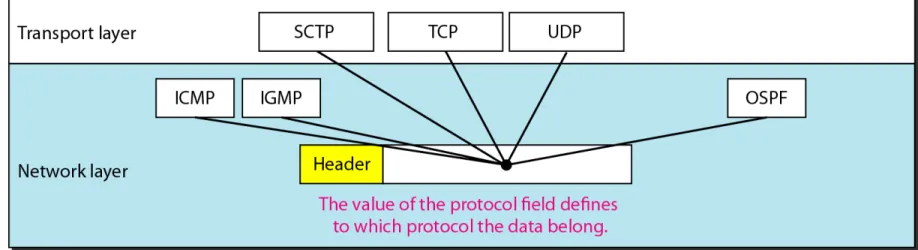 Figure 20.8   Protocol field and encapsulated data