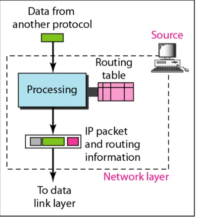 Figure 20.3   Network layer at the source, router, and destination