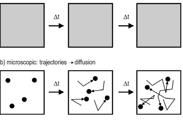 Figure 13: Comparison between macroscopic and microscopic observation of diffusion 