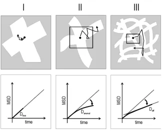 Figure 15: Reduction of the diffusivity due to pores on different time scales. 